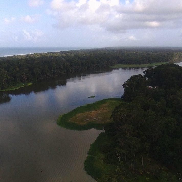 Experience-the-enchantment-of-the-rainforest-at-night-lirio-lodges-nocturnal-adventure