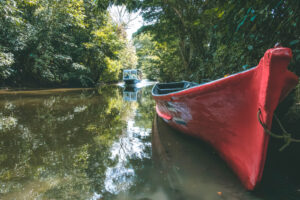 The-rich-biodiversity-of-tortuguero-national-park