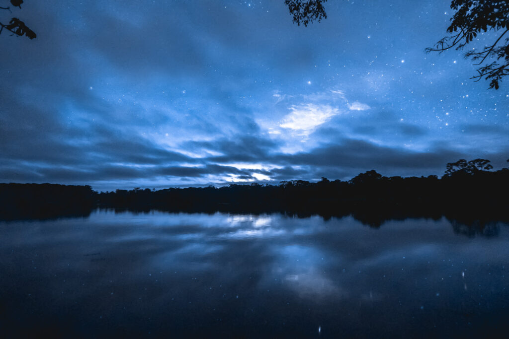 Experience-the-enchantment-of-the-rainforest-at-night-lirio-lodges-nocturnal-adventure